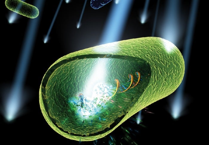 ระบบ UV คืออะไร?